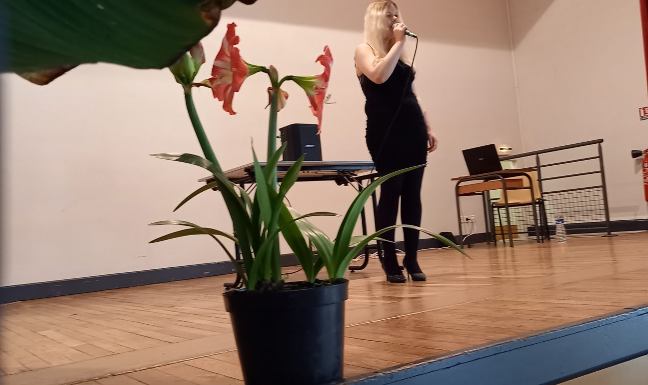 Un enchantement musical avec MARIIE à la bibliothèque de Levroux