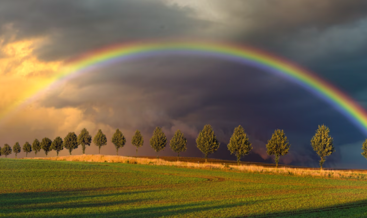 L’arc-en-ciel : le symbole intime et vibrant de MARIIE